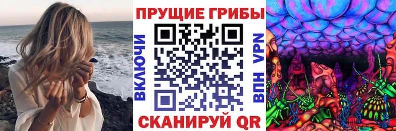 Галлюциногенные грибы прущие грибы  блэк спрут как зайти  Кыштым 