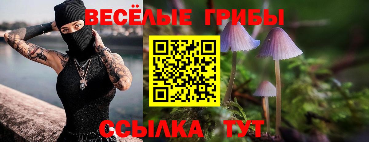 Кыштым  Галлюциногенные грибы мицелий  Вход с VPN 